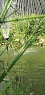 A serene pond with lush greenery and water reflections for a calming wallpaper.