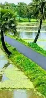 Serene pondside path with palm trees and lush greenery.