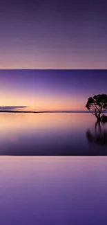 Purple sunset with lone tree reflected in calm water.