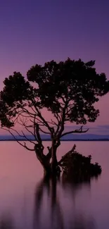 Serene purple sunset with a lone tree reflecting in calm waters.