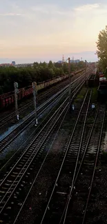 Sunset view of peaceful railway tracks set amidst nature.