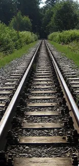 Serene railway track through lush green forest.