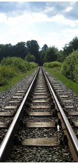 Scenic forest railway track with lush greenery.