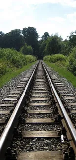 A tranquil railway track surrounded by lush green nature.