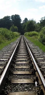 Serene railway track surrounded by lush nature.