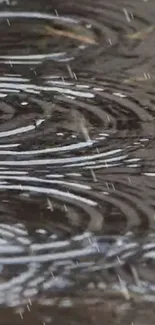 Rain ripples creating a tranquil design on a gray background.