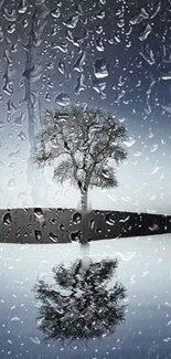 Wallpaper with tree reflection and raindrops on glass.