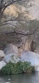 Serene river scene with rocks and trees in nature.