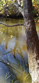 Peaceful autumn river with a tree reflecting on the calm water.