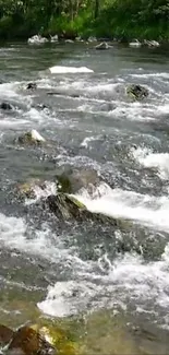 Serene river flowing over rocks with lush green surroundings.