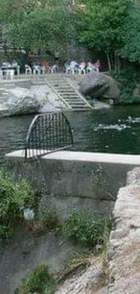 Tranquil riverbank with lush green trees and flowing water.