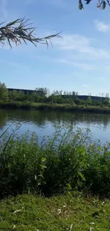 Serene riverbank with green grass and a blue sky.