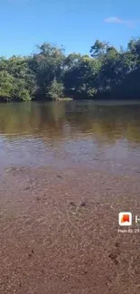 Scenic riverbank with lush trees and calm water reflections.