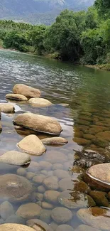 Tranquil river with stones and green trees.