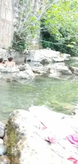 Serene riverside with rocks and greenery.