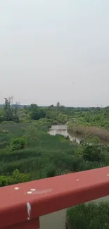 Tranquil riverside landscape under clear sky.