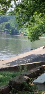 Calm riverside path surrounded by lush foliage.