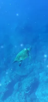 Sea turtle swimming in a blue ocean.