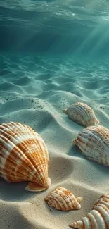 Seashells resting on sunlit sandy ocean floor, emanating peaceful vibes.
