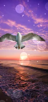 Seagull flying above ocean at sunset, under a purple sky.