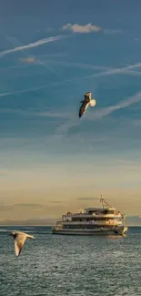 Boat sailing under a clear blue sky with seabirds.