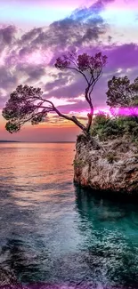 Seaside rocky landscape with sunset and trees over calm water.