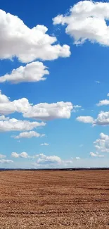 Open field with blue sky and fluffy clouds mobile wallpaper.