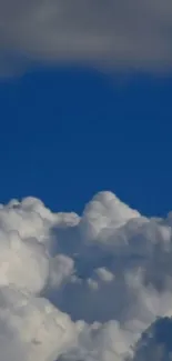 Fluffy white clouds against a deep blue sky.