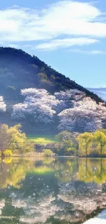 Scenic mountain lake with cherry blossoms and reflections.