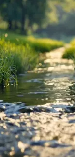Tranquil stream with greenery and reflections in nature.