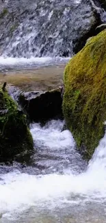 Serene stream flowing over mossy rocks in nature wallpaper.