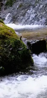 Wallpaper of a tranquil stream flowing over moss-covered rocks.