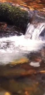 Serene stream waterfall with mossy rocks and clear water.