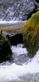 Peaceful stream flows over rocks with lush green moss in nature wallpaper.