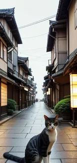 Cat sitting in a tranquil Japanese alleyway