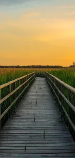 Sunset view from a wooden boardwalk through lush green fields.