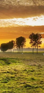 Serene sunset over fields with silhouetted trees.