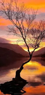 Silhouetted tree with vibrant sunset over a tranquil lake.