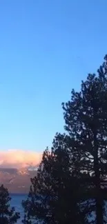 Mountain sunset with blue sky and pine trees.