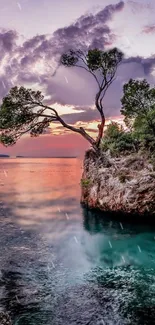 Serene sunset view with tree and ocean.