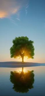 Serene sunset with a tree reflecting on a tranquil lake.