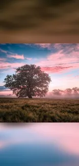 Tranquil tree under a pastel sunset sky on mobile wallpaper.