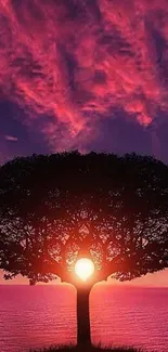 Sunset with tree silhouette against a vibrant purple sky.