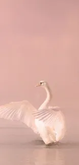 Graceful swan in soft pink mist, creating a serene scene.