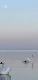 Tranquil lake with swans under moonlit sky.