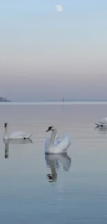 Serene view of swans gliding on a tranquil lake under a moonlit sky.