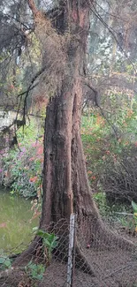 Tall tree by a pond with colorful flowers.