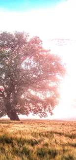 A tree stands in a tranquil grassy field under a clear blue sky.