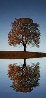 Lone tree reflected in a calm lake under a starry night sky.