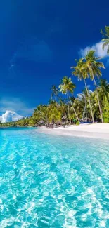 Tropical beach with palm trees and clear blue ocean waters under a bright sky.